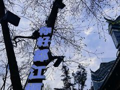 -都江堰景区