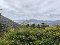 -三亚亚龙湾人间天堂鸟巢度假村