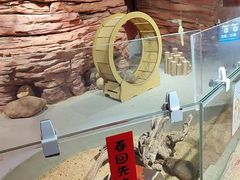 -正佳雨林生态植物园