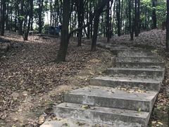 -广州市帽峰山景区