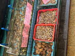 -荔城生鲜盛宴(番禺旗舰店)