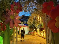 -维斯特·夜烤牛肋条任吃
