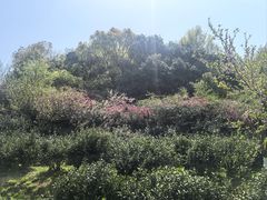 -南北湖风景区