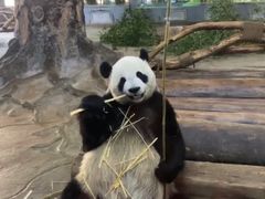 -海南热带野生动植物园