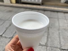 -洪馨椰子