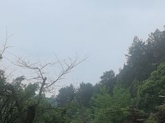 -阿哈湖国家湿地公园