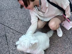 -观音桥步行街