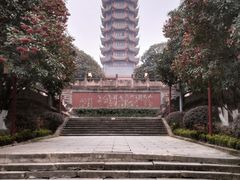 -塔子山公园