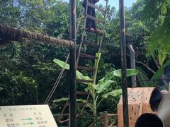 -海南槟榔谷黎苗文化旅游区