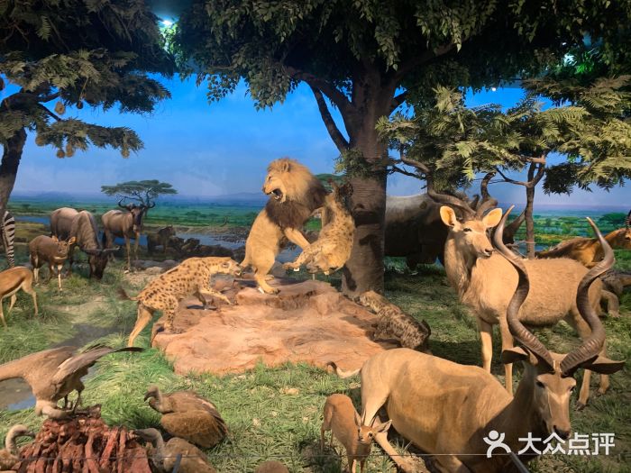 国家自然博物馆图片