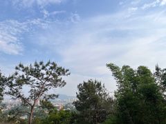 -秦岭天竺山景区