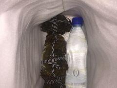 -喜洋洋蟹庄(阳澄湖店)