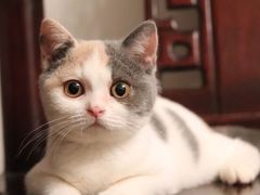 -西宁福茵长乐国际大酒店