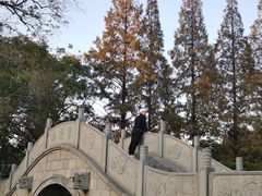 -焦山景区-万佛塔