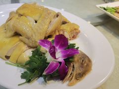 -茂港柏香(侨港路店)