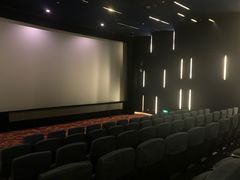 -大光明电影院(南京西路店)