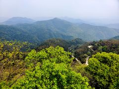 -莫干山风景区