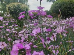 -玄武湖景区-情侣园游乐场