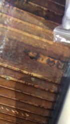 -RL Nail·瑞丽美甲美睫品牌原创店