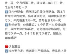 -瑞派天使宠物医院·神经外科·骨科·核磁(洛川中路店)