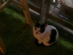 2014-02-16_15-12-55_78-MIKAKU(万达广场上海宝山店)