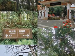 -深圳仙湖植物园