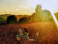 -君乐宝优致牧场