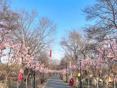 -武汉紫薇都市田园