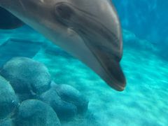 -福州罗源湾海洋世界旅游区