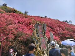 -木兰云雾山