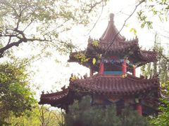 -大连植物园