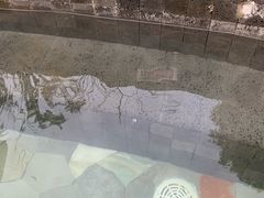 -凤翔首邑温泉度假村