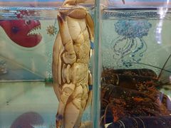 -江南环球港