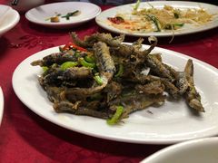 -蛇口康乐快餐鱼仔档(翠苑小区店)