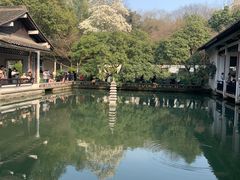 -杭州植物园