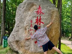 -洛阳白云山景区