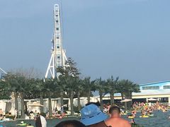 -秦皇岛乐岛海洋王国