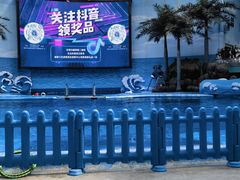 -海合安成都极地海洋公园
