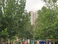 -庄怡公园