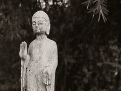 -鹿野苑石刻艺术博物馆