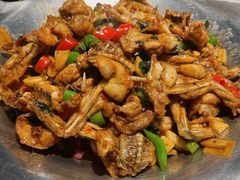 -蛙小侠(珠海华发商都店)