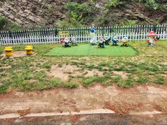 -金龙寺国家森林公园