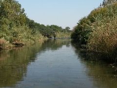 android_upload_pic-溱湖国家湿地公园