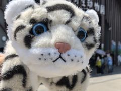 -青藏高原野生动物园