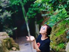 -铁山坪森林公园