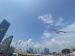 -星海广场