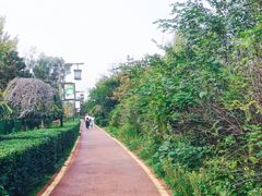 -西安汉城湖景区