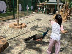 -西双版纳傣族园