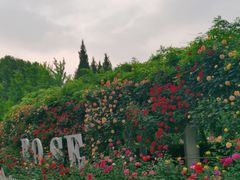 -郑州植物园