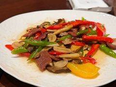 -滇野云南野生菌餐厅(陕西南路店)